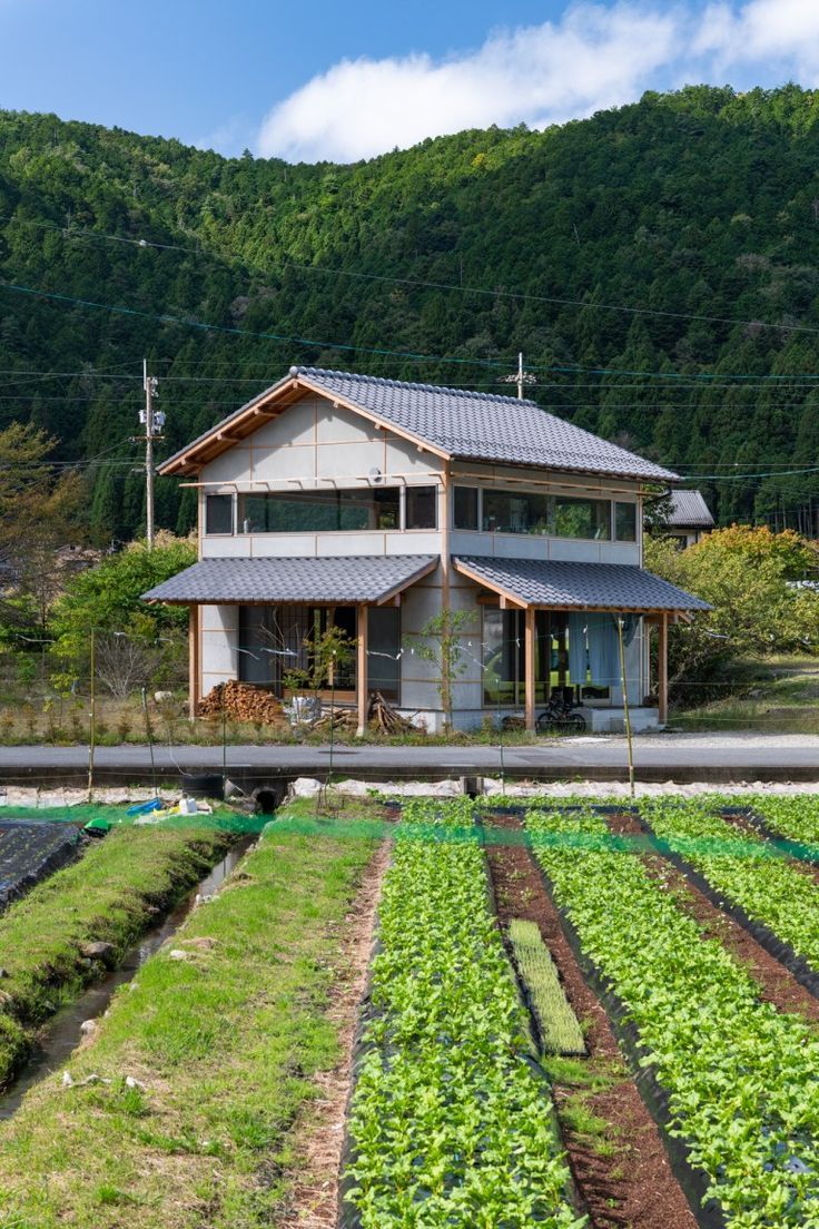 Beauty of Japan