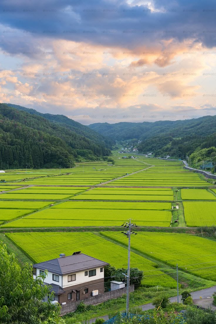 Near Farmland